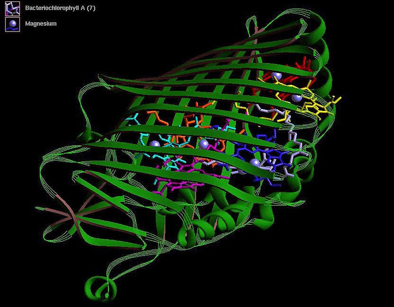 Progettare proteine a colpi di prompt: arriva il vibe coding della biologia