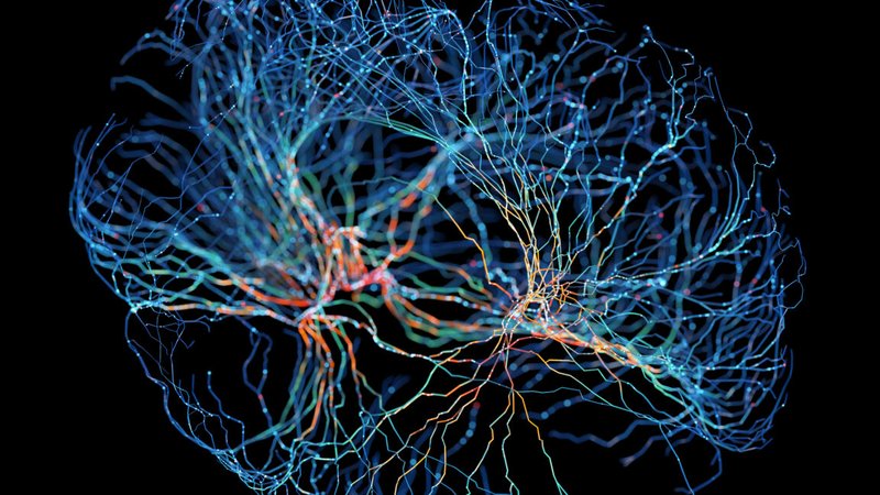 OpenAI Unveils GPT-Rosalind, a Biology-Tuned LLM