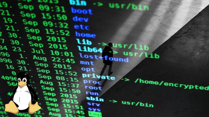 Linux definisce le regole per il codice generato dall'IA: sì a Copilot, no alla bassa qualità