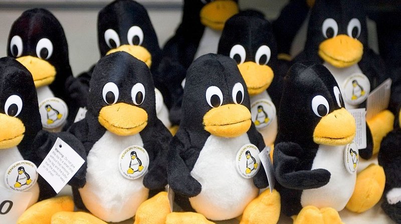 Allerta CISA: la falla "Copy Fail" nel kernel Linux minaccia il controllo root