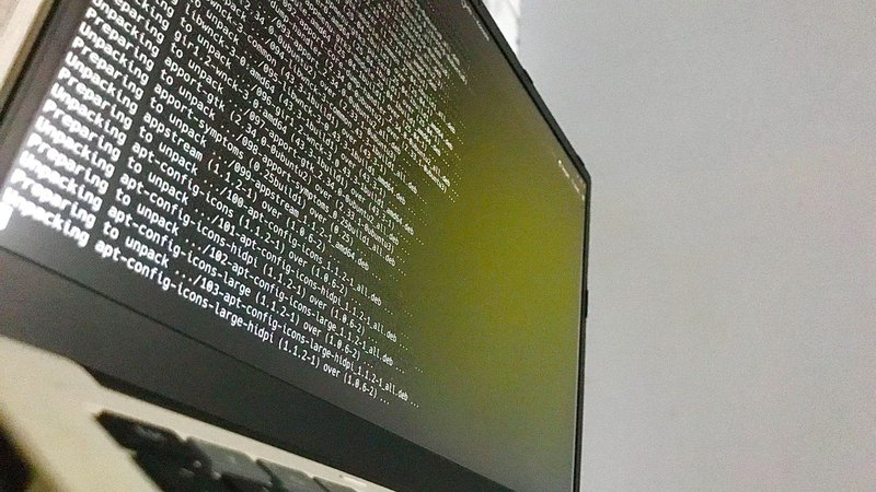 Linus Torvalds: la gestione delle vulnerabilità Linux è "quasi ingestibile"