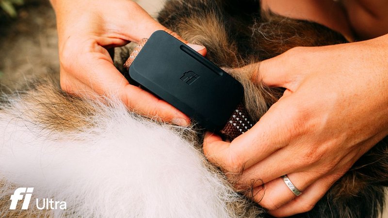 Fi Ultra: The first dog tracker on Starlink ignites the satellite IoT race