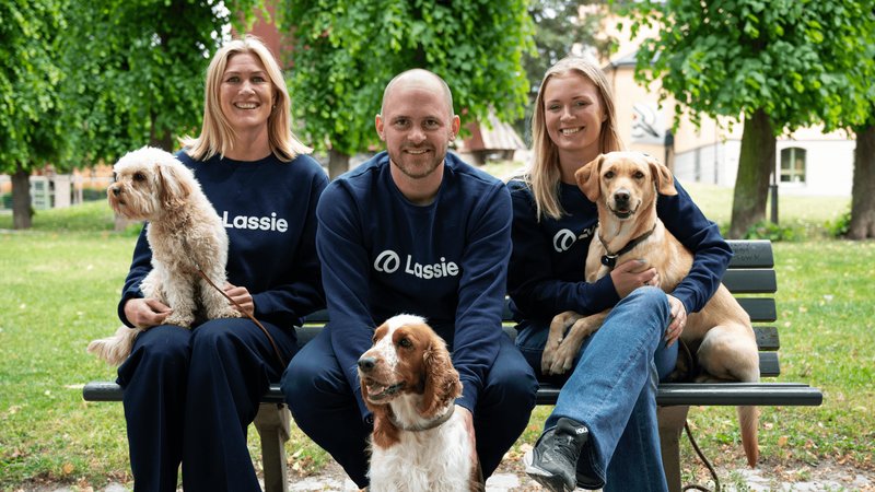 Lassie raccoglie 75 milioni $ per espandersi nell'assicurazione animali in Europa