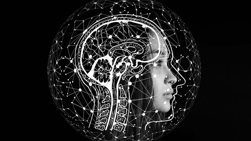 Inherent emerge dal silenzio: 50 milioni di dollari per l'AI nella scienza