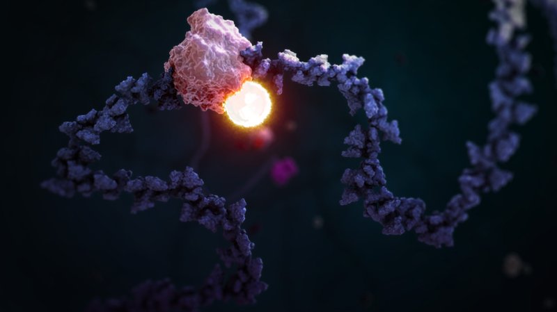 STORM Therapeutics Raises $56M: AI and On-Premise Deployments in Biotech