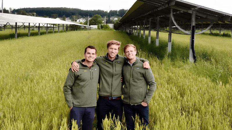 Feldwerke si assicura 12 milioni di euro per espandere l'agri-fotovoltaico in Germania