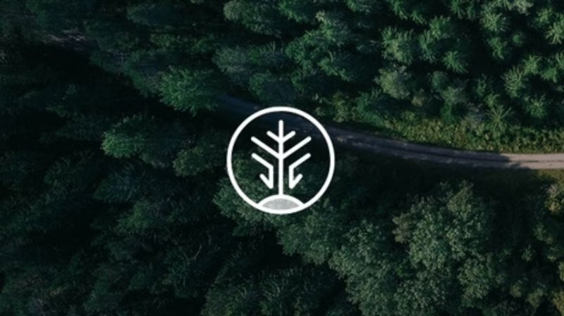 Octopus Energy Investe 500 Milioni in Alberi Biotecnicici per la Cattura di CO₂