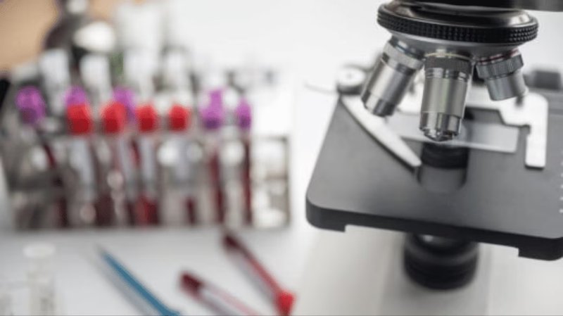 La Piattaforma di Cellule Staminali del NYBC: Gestione Dati e Sovranità