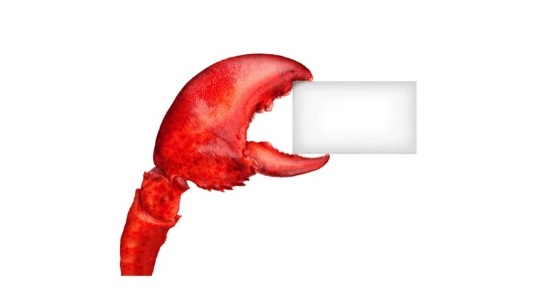 OpenAI Integrates ChatGPT with OpenClaw: A Backend for Open Source?