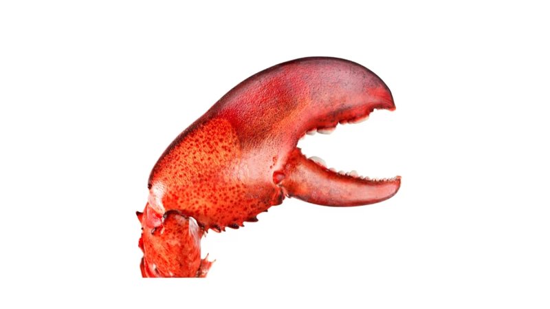 Vulnerabilità 'Claw Chain' in OpenClaw: rischio furto dati e controllo persistente