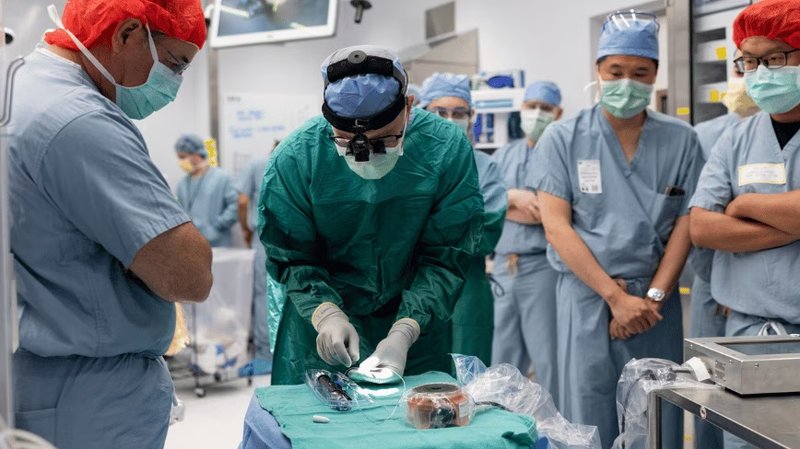 Paradromics Challenges Neuralink: First BCI Implant Opens New Perspectives