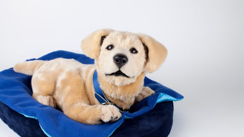 Tombot raccoglie 7 milioni per Jennie, il cane robotico: l’hardware al centro