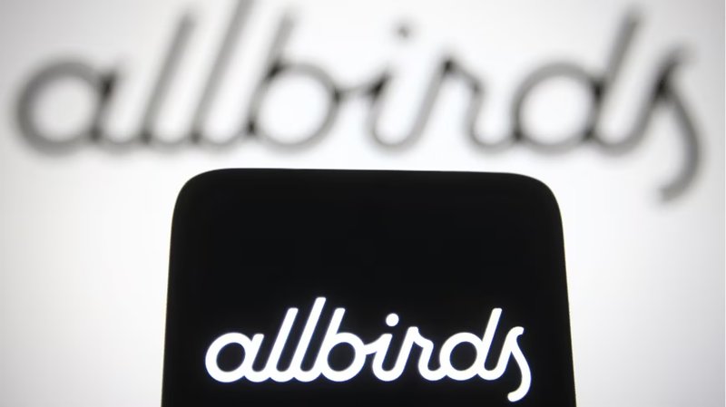 Allbirds Transforms into Smartbird: The Pivot to AI Infrastructure