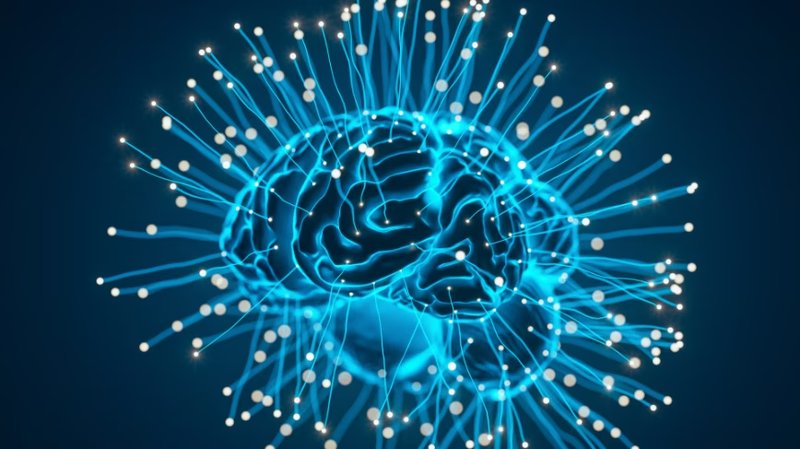 The AI browser is coming: How smart navigation will reshape your everyday life