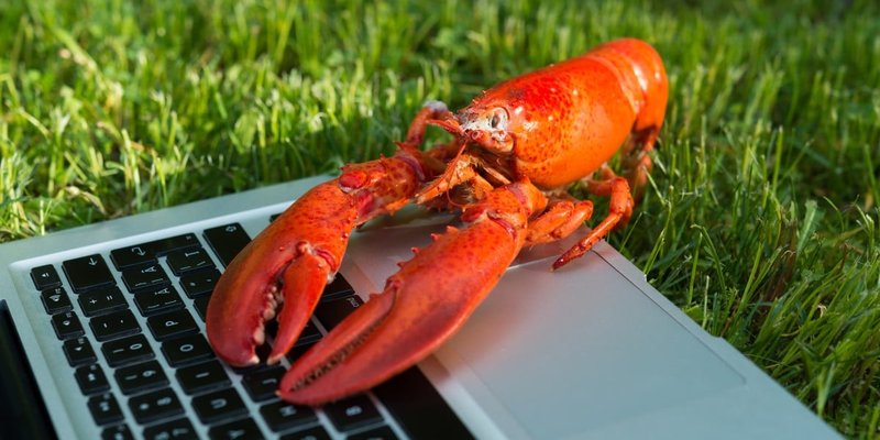 Allarme sicurezza: trenta skill ClawHub trasformano agenti AI in uno sciame per mining