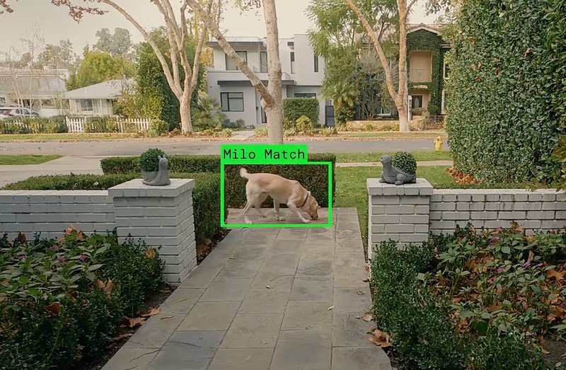 Ring: la sorveglianza AI si estenderà oltre gli animali?