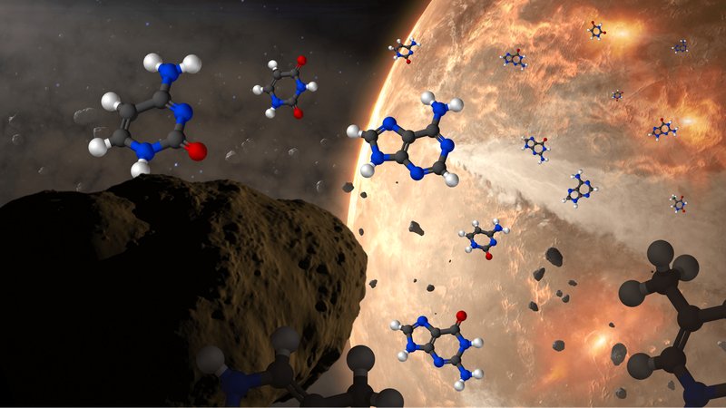 La vita è nata nello spazio? Trovati ingredienti del DNA su un asteroide