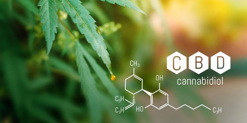 Cannabidiol potrebbe prevenire la sensibilizzazione ai cocaini e alla caffeina influenzando la struttura dei geni del cervello